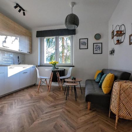 Przytulny Apartament Przy Sokolskiej - 550 Metrow Od Spodka Катовице Экстерьер фото