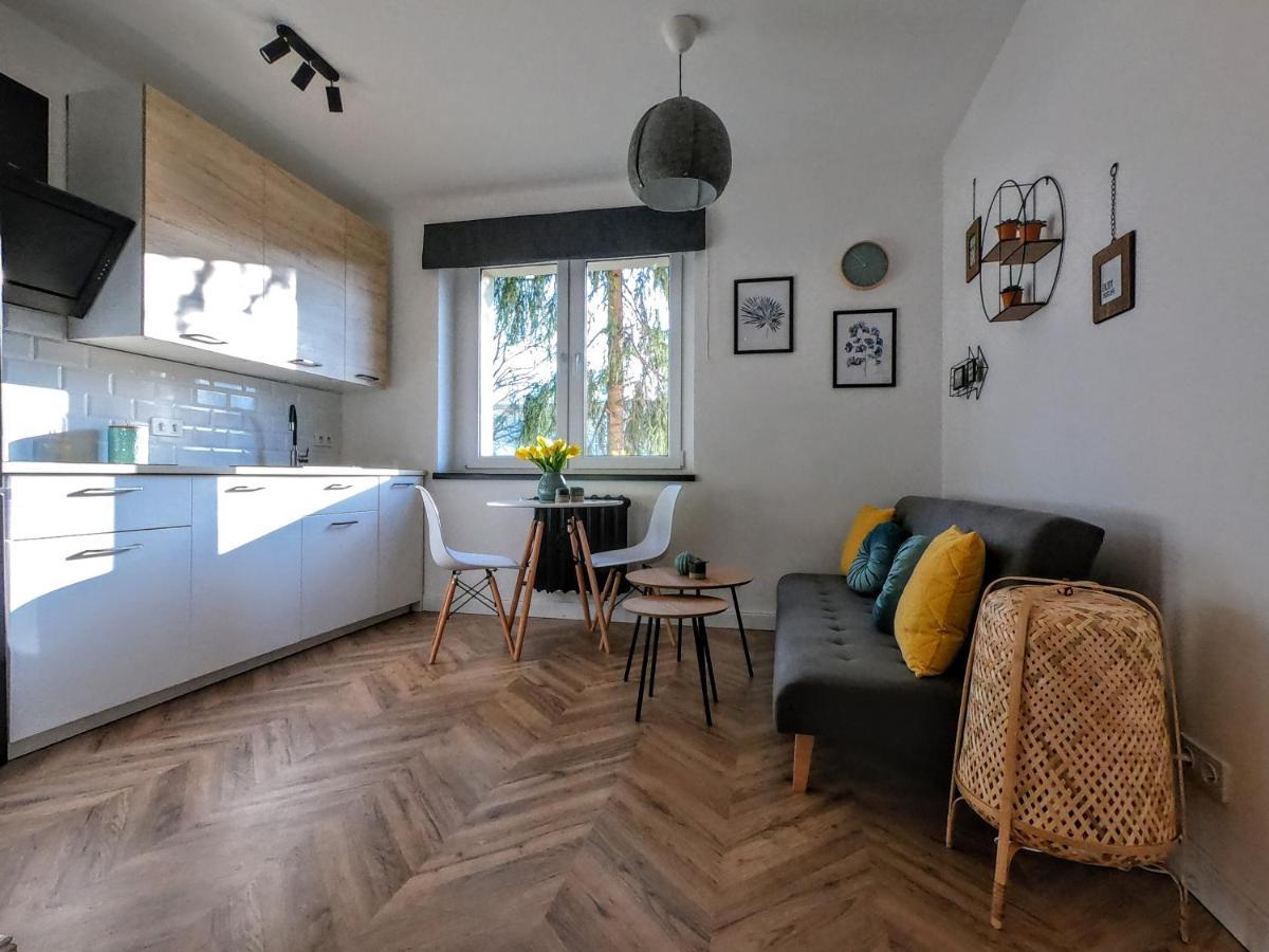 Przytulny Apartament Przy Sokolskiej - 550 Metrow Od Spodka Катовице Экстерьер фото